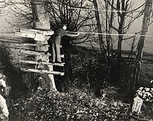 Staff Sergeant Charles M. Robinson at the site of Guglielmo Olivotto lynching, 1944 Staff Sergeant Charles M Robinson where Guglielmo Olivotto was hung, 1944, U.S. ARMY Signal Corps.jpg
