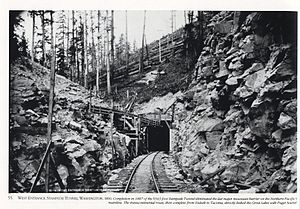 Stampede tunnel