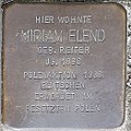 wikimedia_commons=File:Stolperstein Miriam Elend LU 2018.jpg