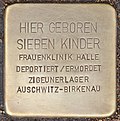 Stolperstein für 7 Kinder Frauenklinik Halle (Halle).jpg