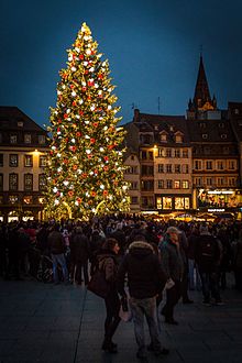 Strasbourg capitale de Noël grand sapin 2014 02.jpg