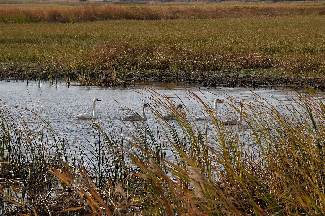 J. Clark Salyer National Wildlife Refuge