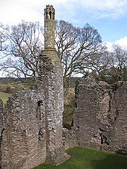 Tall, elegant 14th century chimney, Grosmont Castle - geograph.org.uk - 1192870.jpg