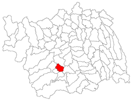 Târgu Trotuș – Mappa