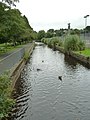 Tavistock Canal - geograph.org.uk - 2554735.jpg