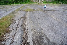 Carboniferous/Jurassic unconformity surface at Tedbury Camp. Tedbury Camp unconformity.JPG