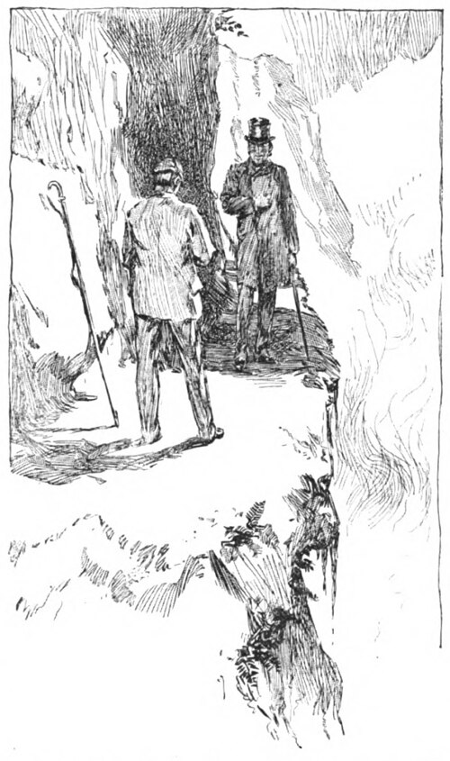 Holmes and Moriarty, 1893 illustration by Harry C. Edwards in McClure's