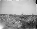 The Battle of the Somme, July-november 1916 Q3992.jpg