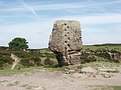 The Cork Stone - geograf.org.uk - 21122.jpg