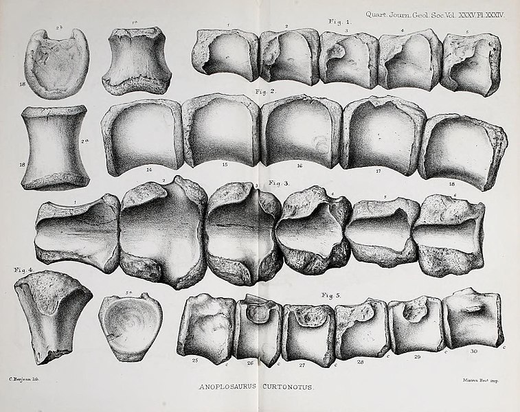 File:The Quarterly journal of the Geological Society of London (14340149442).jpg