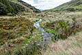 * Nomination Thirteen Mile Bush Stream, Benmore Track, New Zealand --Podzemnik 02:59, 30 November 2020 (UTC) * Promotion  Support Good quality. --XRay 04:46, 30 November 2020 (UTC)