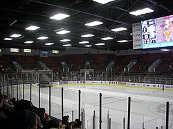 Toledo Walleye vs. Kalamazoo Wings January 2014 23.jpg