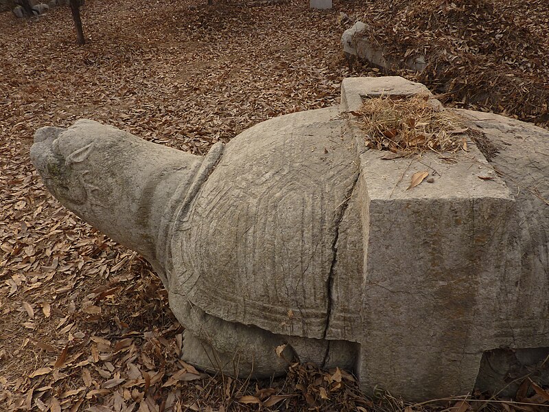 File:Tombs of Duke of Yansheng - 61st generation - bixi - P1060161.JPG