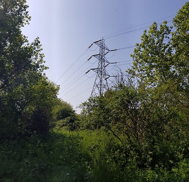 File:Tottenham Marshes 20190422 124833 (47667095861).jpg