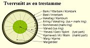 Miniatyrbilete for Kjerneved