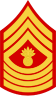 E-9 Master Gunnery Sergeant (MGySgt)