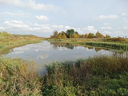 Tvenkinys rudenį