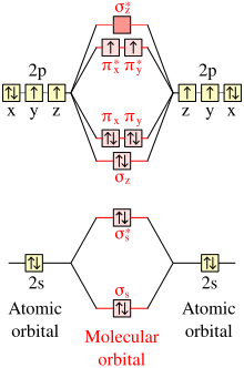 The valence orbitals of the oxygen atom (sides of diagram) and the dioxygen molecule (middle) in the ground state. In both atom and molecule, the electrons in singly occupied orbitals have their spins parallel. Valence orbitals of oxygen atom and dioxygen molecule (diagram).svg