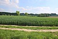 Vlaamse Ardennen 61.jpg