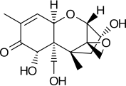 Deoxynivalenol eller vomitoxin (från engelskan Vomiting - vomiting), den vanligaste trichothecene, produceras av mikroskopiska mögelsvampar av släktet Fusarium (Fusarium culmorum, Fusarium graminearum).  Det är mycket giftigt, har en immunsuppressiv effekt, orsakar svår förgiftning åtföljd av ihållande kräkningar, gastrointestinala lesioner och agranulocytos [8][9].