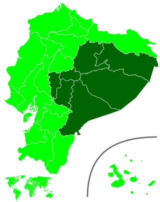 <span class="mw-page-title-main">2009 Ecuadorian general election</span>