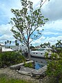 Wagner Creek - Seybold Canal - Steps leading to canal from Seybold House site.jpg