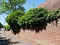 18th-century wall to the south of Frognal House in Sidcup. [796]