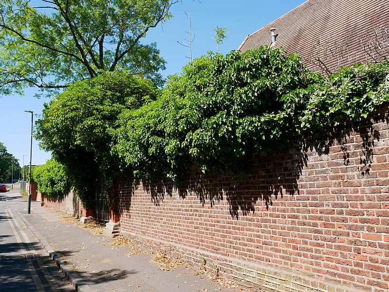 File:Wall to the South of Frognal House, Sidcup (01).jpg