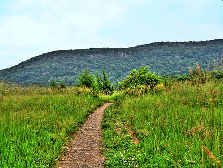 As seen from the Appalachian Trail in Vernon Township, Wawayanda Mountain rises to an elevation 1,448 feet (441 m) above the watershed of Pochuck Creek (also known as Vernon Valley)