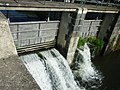 English: Weir Litovel on the river Morava west of Litovel, where the so called mill race called Elektrárenský náhon or Náhon flows from the river. Čeština: Jez Litovel na řece Moravě západně od Litovle, kde se z řeky odděluje tzv. Elektrárenský náhon (zkráceně též Náhon).