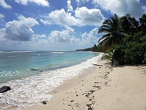 Playa de la Isla West, Islas Cocos