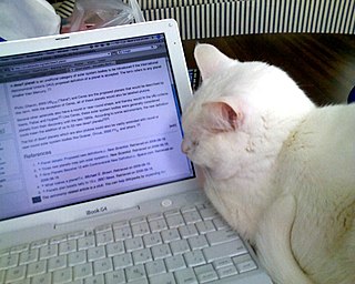 <span class="mw-page-title-main">Cats and the Internet</span> Popular part of Internet culture