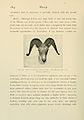 Wild oxen, sheep and goats of all lands, living and extinct (Page 184, Fig. 35) BHL9370156.jpg