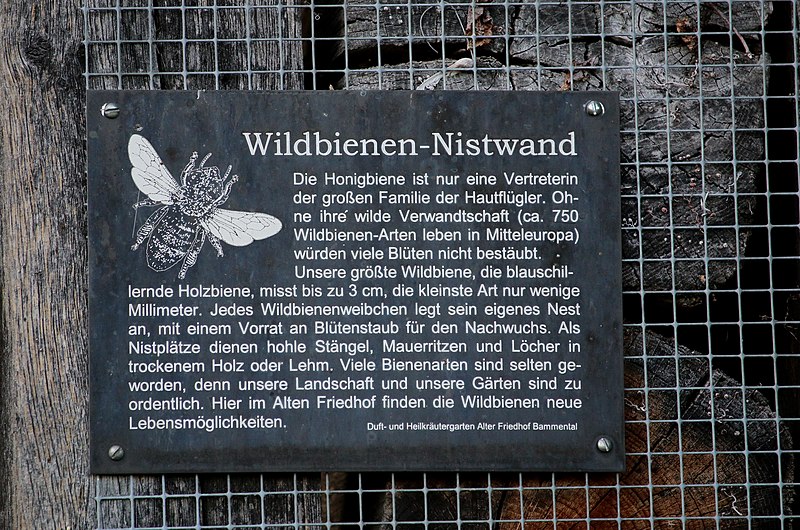 File:Wildbienen Nisthilfe.jpg