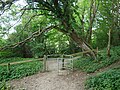 Kemsing Down above Kemsing.