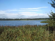 Wreecher See – view from the eastern shore