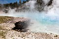 * Nomination Excelsior Geyser Crater at Yellowstone National Park, Wyoming, USA --XRay 03:41, 22 August 2022 (UTC) * Promotion  Support Good quality.--Agnes Monkelbaan 04:21, 22 August 2022 (UTC)