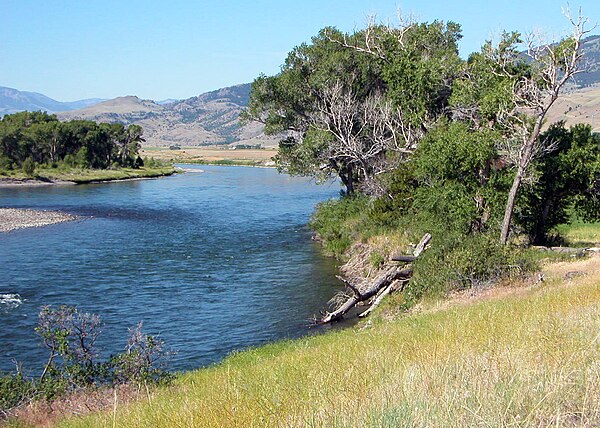 The Yellowstone River, the fifth longest tributary of the Missouri, which it joins in North Dakota