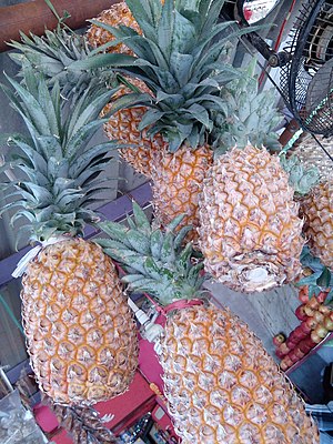 "Pineapples".jpg