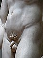 'David' by Michelangelo FI Acca JBS 034.jpg