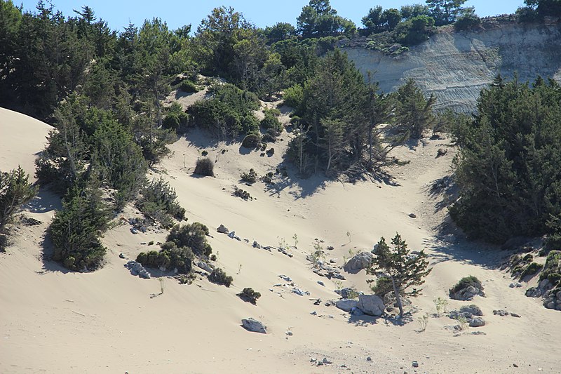 File:Песчаные горы. Пляж Цампика. Rhodos. Greece. Июнь 2014 - panoramio.jpg