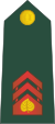 03-Slovenian Army-MCP.svg