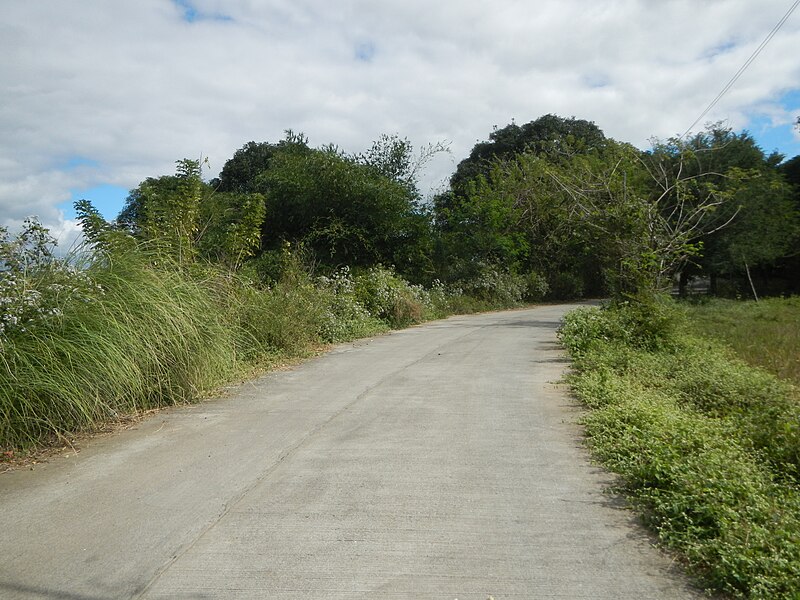 File:09127jfLandscape Maronquillo Pasong Callos San Rafael Bulacan Roadsfvf 17.JPG