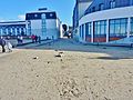 La rue des Professeurs Curie envahie par le sable et les galets après les tempêtes de la fin janvier et du début de février 2014 (juste en arrière de l'immeuble de la thalassothérapie)