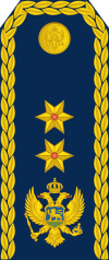 17-Montenegro Air Force-MG.svg