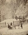 Boston Common, ca. 1875