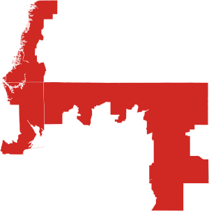2010 Florida's 9th Congressional District election by county.svg
