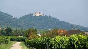 Schlossberg s hradem Hambach