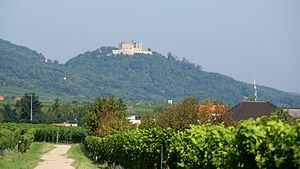 Schlossberg a Hambach-kastéllyal