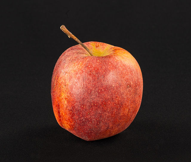 Gala (apple) - Wikipedia